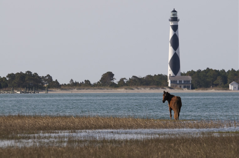 Harkers Island & James Creek "Patriot's Retreat" Breach Bang Clear