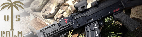 US_Palm_banner