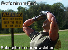 subscribe to the newsletter