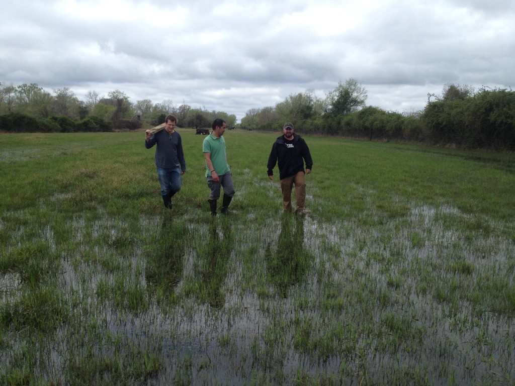 The range/swamp/rice paddy in The 'Nam.