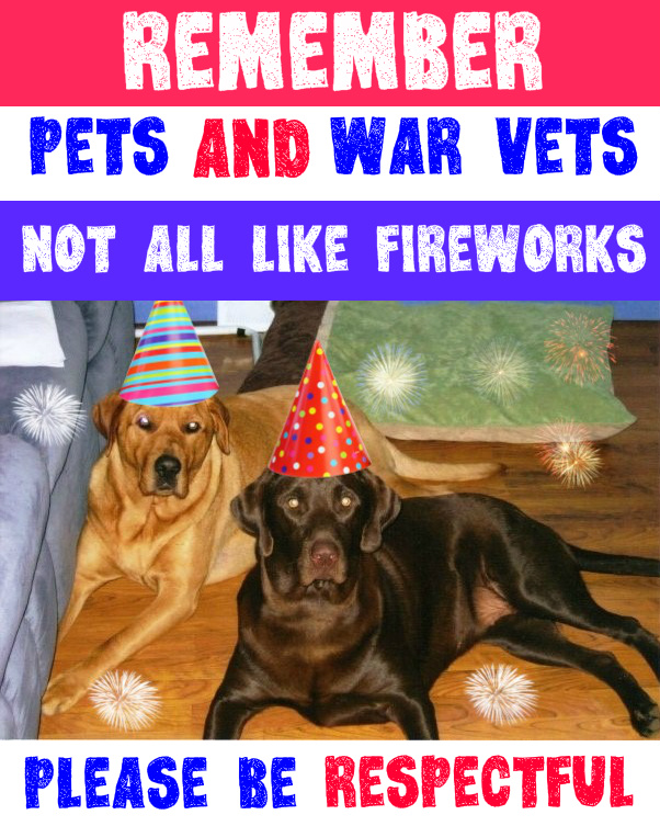 pets-and-vets