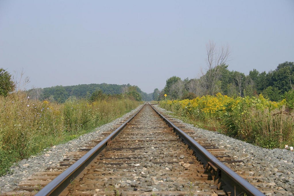 Train Tracks | by Martin Cathrae