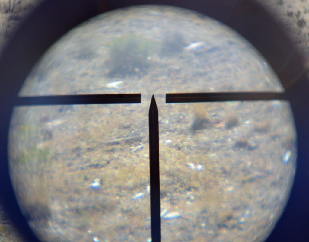 View through the scope of the Mosin Sniper.
