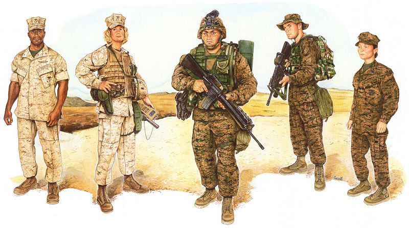 Five soldiers in MARPAT combat camo