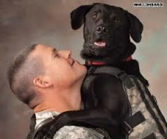 PTSD | Fakers and Frauds and WTAF?