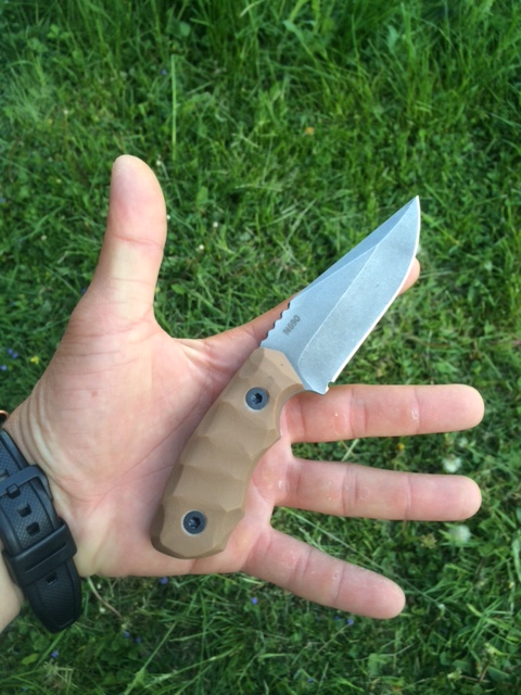 coye ridgeback