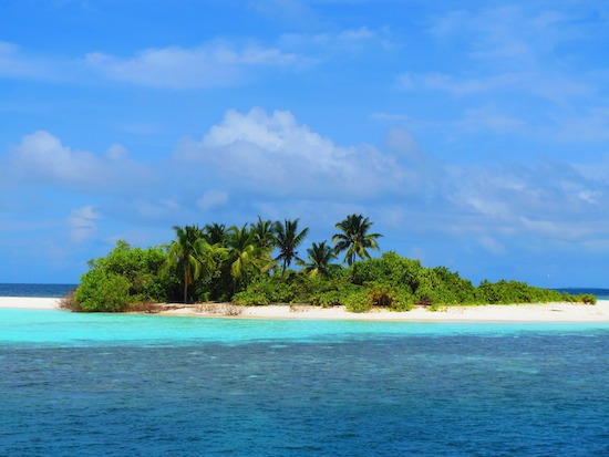 how to purify water on a deserted island