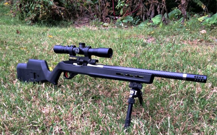 Magpul X22 with attached scope and bipod.