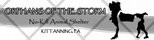 Orphans-of-the-Storm-Animal-Shelter