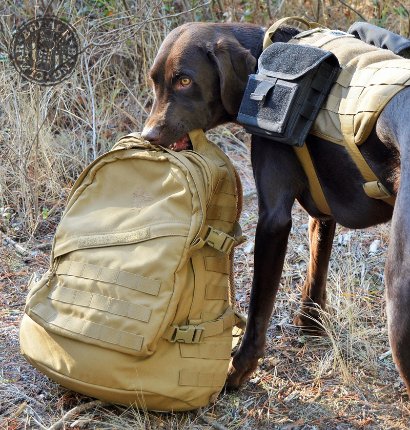 Norseman on The New Huron Assault Pack