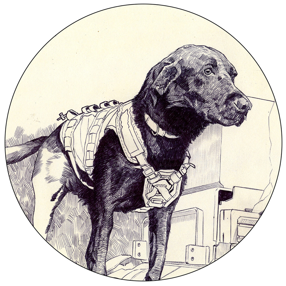 Some Dogs are Grunts