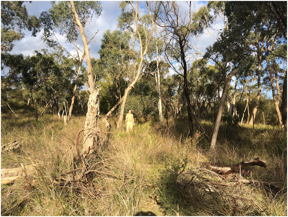 Review: Camo in an Aussie Setting