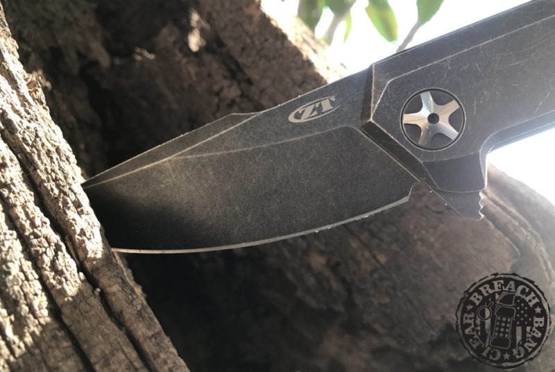 Close up of the blade in a tree.