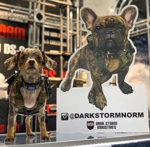 Dogs of SHOT; DarkStormNorm