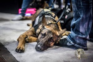 K9 officer resting at SHOT