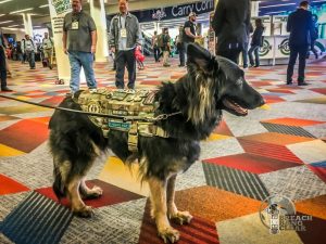 Patched SHOT Show K9