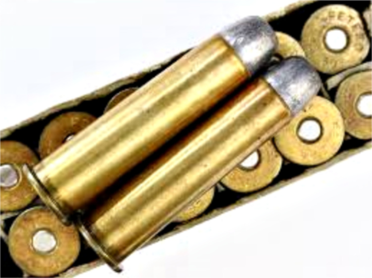 45-60 Winchester - 45 caliber