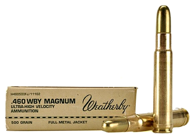 460 Weatherby Magnum