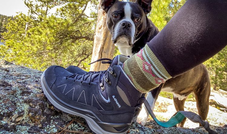 lowa lightweight hiking boots