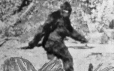 Cryptid Hunters: 3 Ways to Prepare for Your Prey