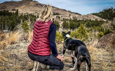 Alexo Athletica Concealed Carry Leggings