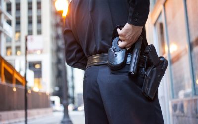 ASP Inc: Armament Systems and Procedures