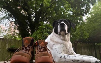 Ridgemont Outfitters — Damn Sturdy Boots