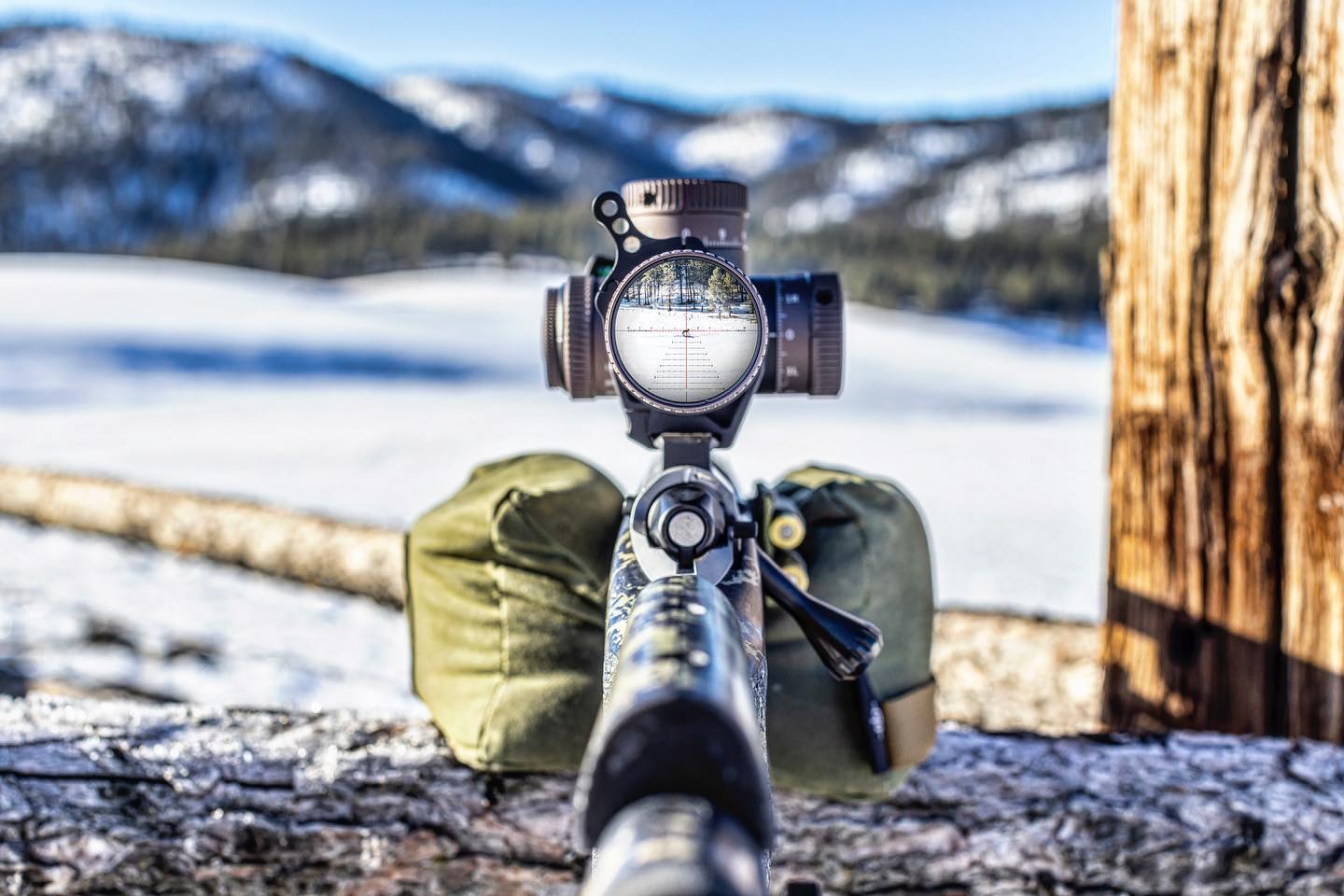 Vortex LPVO in the snow