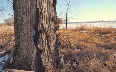 A Pistol Caliber Rifle: The Henry Homesteader