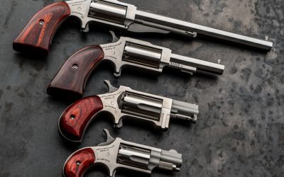 Best Single Action Revolvers: Types and Reviews