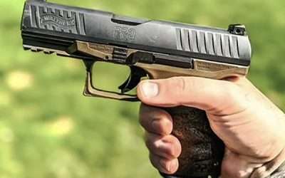 Walther PPQ M2: Straight Outta the Box