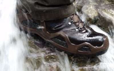 LOWA Z 6S GTX Boot: Put Your Foot In It