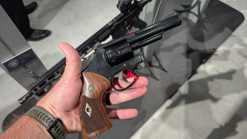 Model 19
