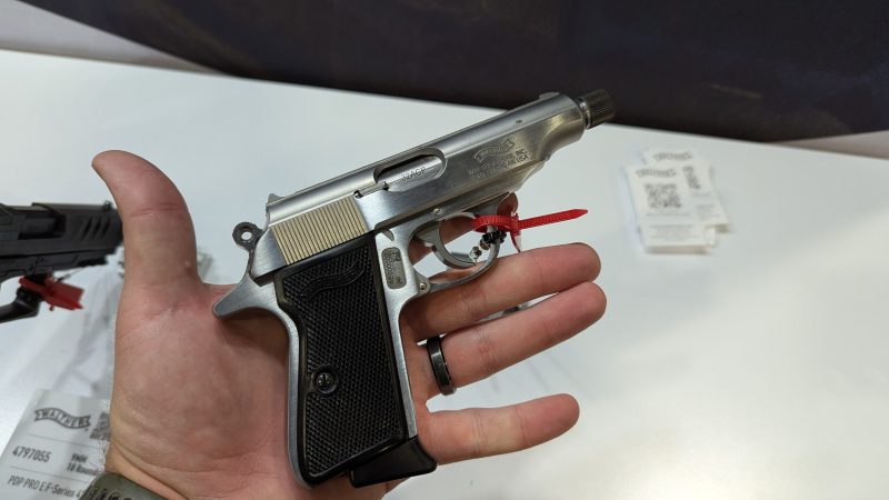 Walther pp in hand