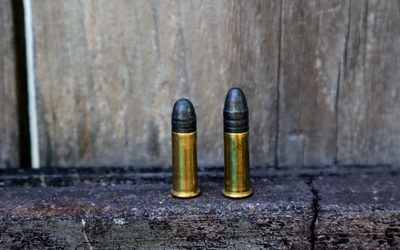 22LR: What You Need to Know About 22 Long Rifle