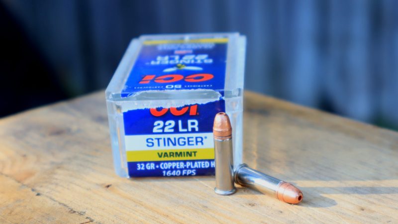 CCI stinger 22 LR