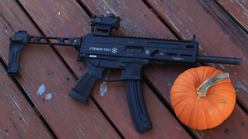 grand power Stribog tr 22 with a pumpkin